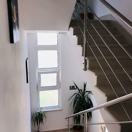 Vucica